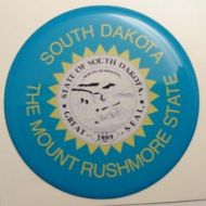 2inc SOUTH DAKOTA State flag America 3D Decal USA